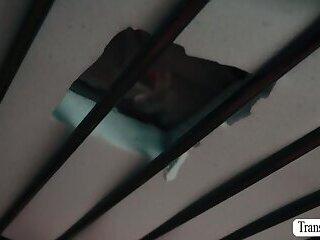 Horny shemale lets her roommate fuck her asshole