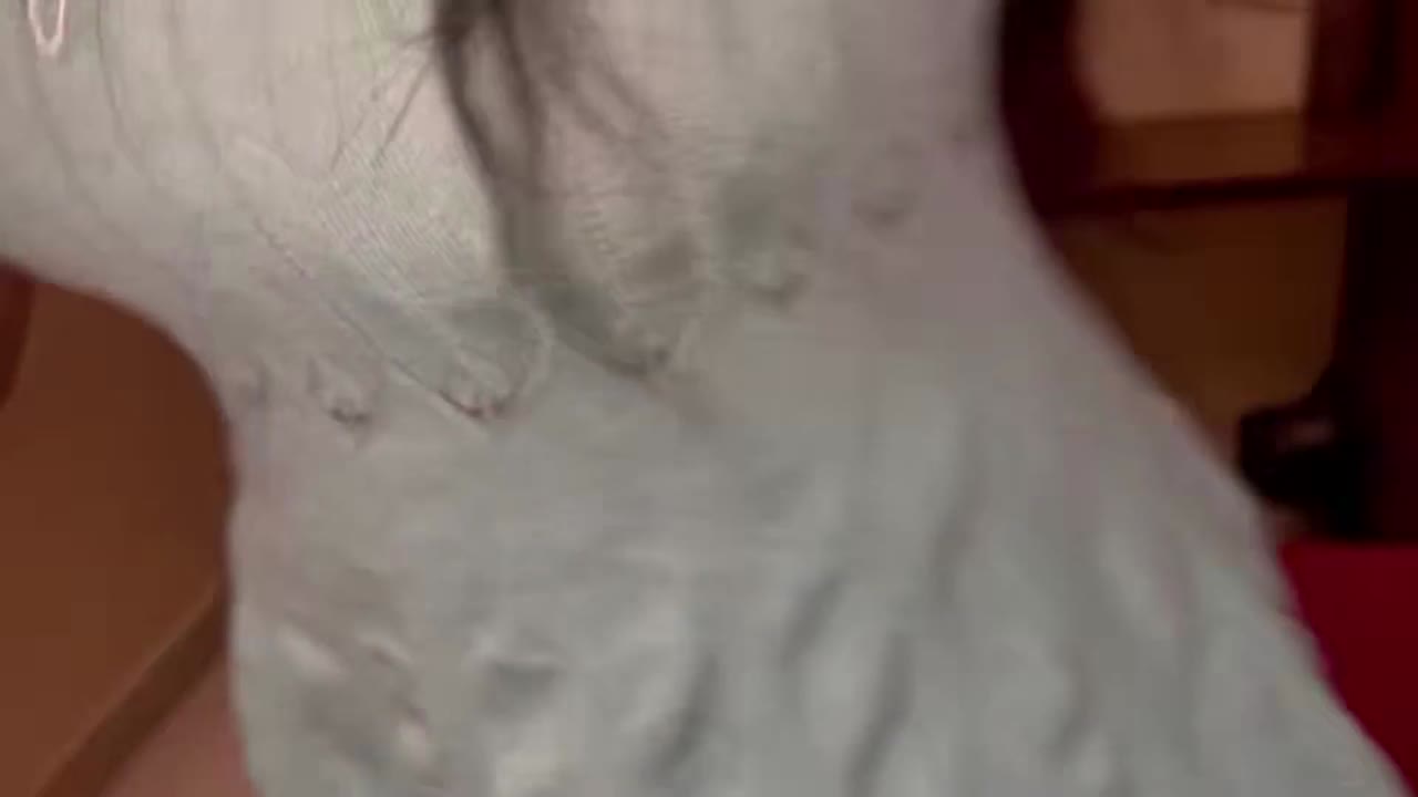 INDIAN PORN  - PornoXO.com