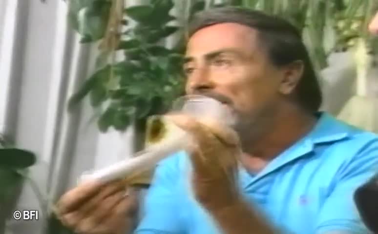 Rip Dvd porn video – 2 hours of extreme pleasure DVD